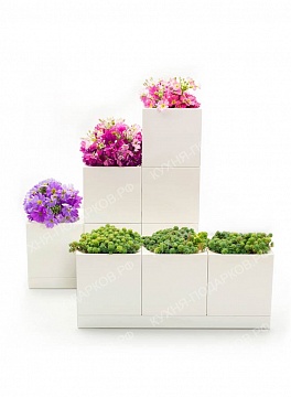 Изображения Растение в кубе 6