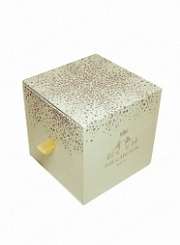 Коробка пенал с логотипом 1