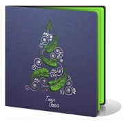 Корпоративная открытка FS268i